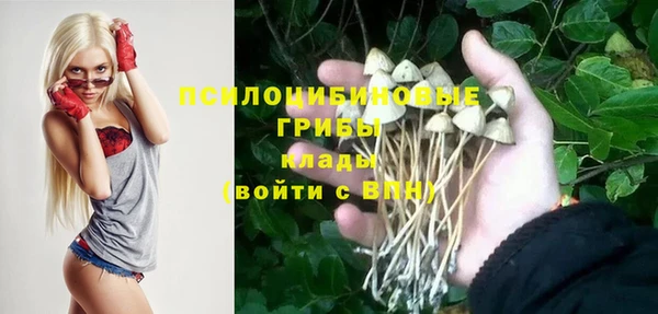 МДПВ Балахна