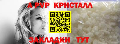 прущие грибы Моздок
