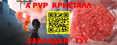 прущие грибы Моздок
