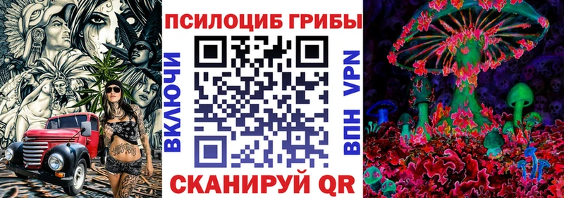 Псилоцибиновые грибы мицелий  Губаха 