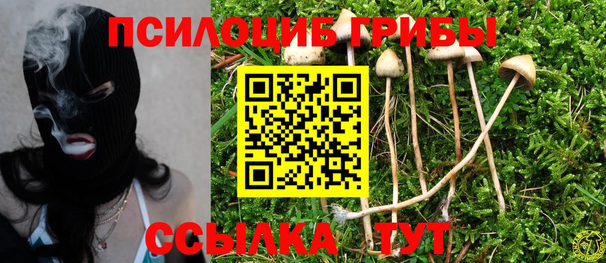Губаха  Псилоцибиновые грибы MAGIC MUSHROOMS  Вход с VPN 